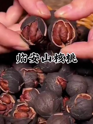 新货正宗临安250g500g袋装手剥山核桃浙江临安山核桃小核桃#临安山核桃 #手剥坚果 #优质农产品 #新货坚果 #强烈推荐