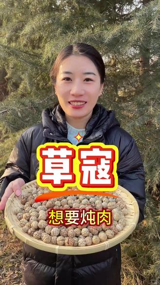 过年炖肉卤肉草寇快备起来吧#炖肉卤肉 #风味调味 #草寇 #广西草寇 #香料大全