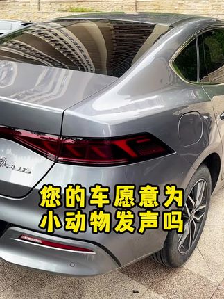 希望不是我一个人在战斗!为不会说话的小动物发声:不爱别伤害!#为流浪动物发声#流浪狗#流浪猫#拒绝弃养