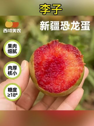 西域美农新疆恐龙蛋水果李子3斤 红心果肉香甜 产地新鲜直发#好物推荐🔥 #好东西一起分享 #好吃不贵 #超便宜超划算 #李子