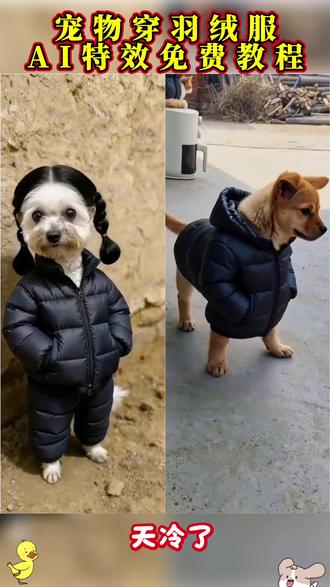 AI萌宠一键穿羽绒服特效教程!!! AI萌宠一键穿羽绒服 ai萌宠穿羽绒服 #即梦ai #小狗羽绒服 #宠物加绒外套 #ai萌宠一键穿羽绒服 #狗狗冬季羽绒服 宠物狗保暖外套