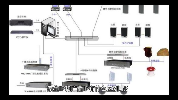 原生IP跟广播IP你自己怎么选吗?