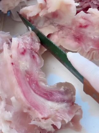 包邮新鲜黄牛蹄 熟牛蹄去大骨现煮现发鲜嫩营养美味凉拌红烧#黄牛蹄