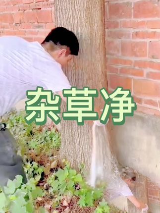 厂家直销杂草净🌿环秦酮颗粒型免稀释 - 公路庭院厂区藤蔓杂草地专用 一撒即净 #抖音农业工具# 杂草防治神器 #除草剂直销# 厂区杂草处理必备