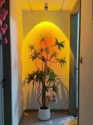 网红夕阳红射灯照画氛围灯明装房间创意玄关走廊可调角度日落灯#网红 #创意 #走廊灯 #日落 #好物推荐🔥 @DOU+好生意 @DOU+小助手