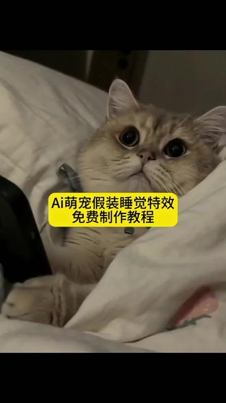 Ai萌宠玩手机假装睡觉特效教程来啦 #ai萌宝 装睡记 #ai小狗装睡特效 #随便一躺 萌到心化 #剪映 ai小狗装睡视频生成 口令 狗狗到点就睡觉 狗假装睡觉行为 狗狗装睡 小狗晚上不睡觉看手机 随便一躺萌到心化特效 随便一躺萌到心化教程 随便一躺萌到心化模版 狗狗的可爱视频 ai小猫装睡 ai宠物装睡 ai萌宠装睡 柯基睡觉 ai视频 柯基ai 装睡ai特效 装睡ai 装睡ai生成 永远叫不醒一只装睡的狗 狗狗装睡ai视频 猫咪装睡ai视频 装睡的狗原视频 小狗装睡有趣视频 宠物ai 各种小狗ai 狗狗ai特效 ai小狗装睡口令 小狗ai特效怎么做 ai小狗装睡特效制作 ai萌宝装睡记 宠物ai生成入口 ai萌宝装睡记特效 小狗偷玩手机ai 小狗偷玩手机ai ai装睡 ai装睡特效 ai装睡模版 狗装睡 猫装睡 人装睡 鹦鹉装睡