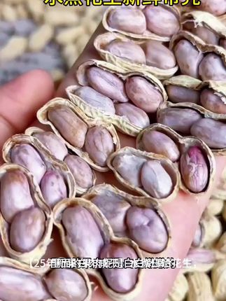 【25年新果白肉咸干】水煮日晒花生软口不脆有嚼劲带壳坚果零食精选