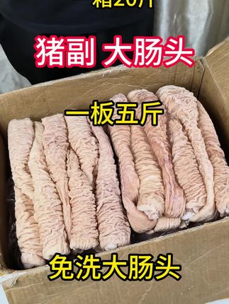 大肠头一箱20斤 #大肠头#精品免洗大肠头#猪副#餐饮食材