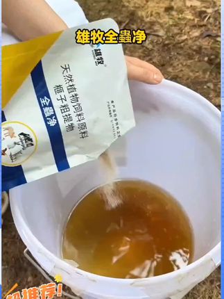 #鸡鸭鹅养殖 #养鸡人 #喂鸡 #家禽养殖 #三农