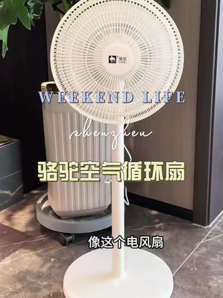 #夏季好物#电风扇#循环扇#清凉一夏