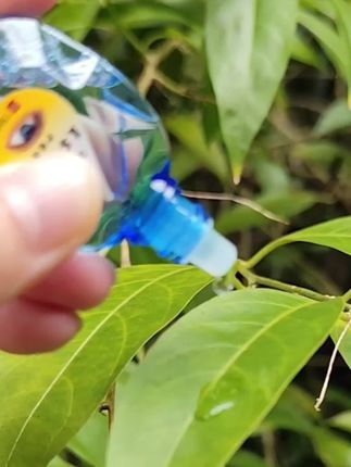 这个滴眼液!眼睛不舒服滴一滴,水润清爽,长时间用眼,也不会很难受,超好用!#呵护双眼 #持久滋润