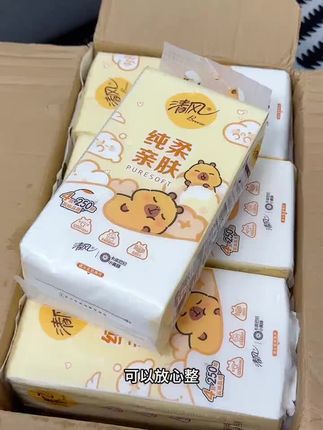 嘿嘿嘿~本来我不缺纸的可清风都卷来了大羊毛!还是与卡皮巴拉的联名款,这谁能顶得住啊,这个价就到手10大提,!原生术浆纸,四层加厚,质量嘎嘎好,大品牌的纸巾放心用!#超便宜超划算#生活用纸 #平价好物 #清风 #悬挂抽纸真的太方便了