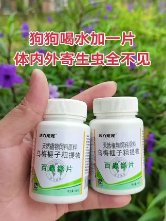 #驱虫 #狗狗 #新手养狗 #养狗的乐趣 #科学养宠攻略