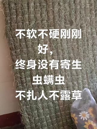 长白山原生态乌拉草,零添加纯天然无公害