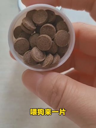 喂狗一片百虫铩,体内外寄生虫通通拜拜#家有中华田园犬 #不养狗不知道养狗的乐趣 #农村土狗 #萌宠好物分享