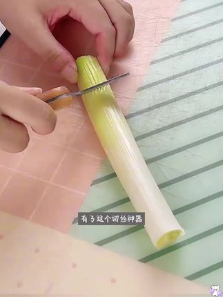 #切丝器 你一定想不到,这个不起眼的小工具居然是专业切葱丝的,轻松切出超细葱丝。#切丝神器#厨房小工具#切葱神器