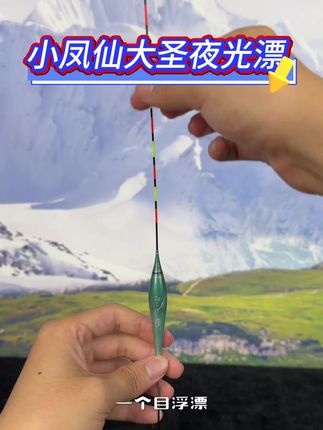 这夜光漂好用不?用过的朋友评论区聊聊感受,给点真实反馈 #渔具用品 #夜光漂 #电子漂 #浮漂 #鱼漂