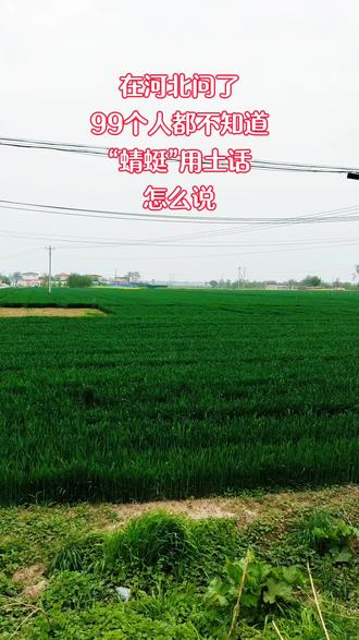你们老家话“蜻蜓”怎么说?#热门话题 #抖音玩法达人 #原创 #创作者中心 #方言