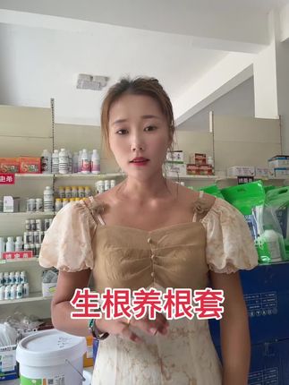 生根养根