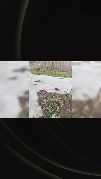 洛阳公园夺命铁丝!59岁男子骑车路过,竟遭割颈身亡! 洛阳一公园突发悲剧!59岁男子骑三轮车经过时,被两棵大树间的铁丝勒断气管身亡。事发铁丝无任何警示标志,涉事区域原是私人承包训练基地,篱笆拆除后遗留铁丝竟成夺命陷阱。公园安全管理是否存在疏漏?谁该为这场意外买单?