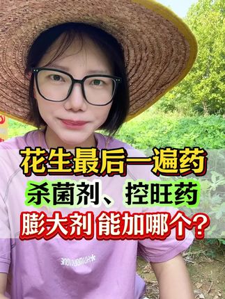 花生的最后一遍药,杀菌剂控旺药哪个能加哪个不能加 #花生种植 #农业种植 #三农种植 #花生#抖音助农