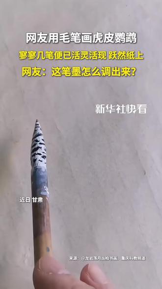 绝!寥寥几笔虎皮鹦鹉已跃然纸上