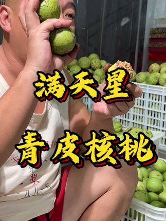 满天星青皮#文玩核桃 #青皮核桃 #文玩爱好者 #满天星