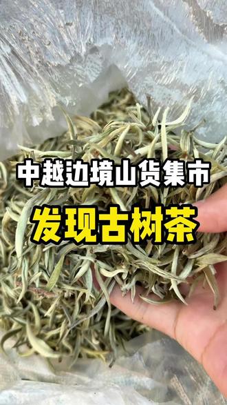 偶遇景星凤凰⛰️的老树茶 奶奶的茶真的好,喜欢喝茶的看过来#乡村摆摊日记 #创作者中心 #创作灵感 #普洱茶