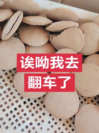 #强烈推荐 #硬脆 #雨后潮湿 嘎嘎在线