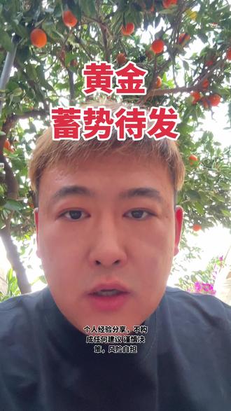 回踩多深就能上蹿多高 #黄金 #日常vlog #真实事件 #美国