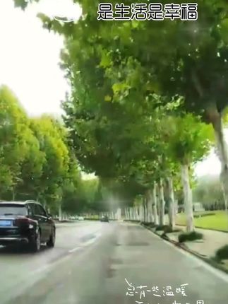 把曰子过成静音模式,便是对生命最好的应答!#热门特效#情感共鸣 #好歌分享