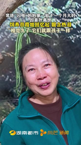常德“闪电”妈妈第一胎十一个月大时因意外离世,饲养员霞姐回忆起眼含热泪。“相处久了 它们就跟孩子一样”#常野动物园里有什么 #2025湖南常德野生动物世界短视频大赛#疯狂动物城#树懒#常野树懒饲养员霞姐