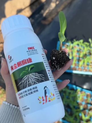 根腐软腐茎基腐专用防烂根沤根补充营养纯生物制剂肥料不挑作物#抖音推广 #抖音新农人