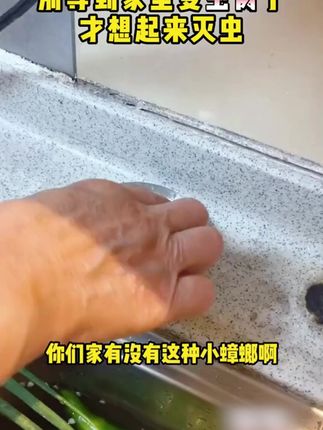 自从家里用了#蟑螂魔盒 家里就没有小强啦,还是不用火不用电的#好物分享 #母婴好物