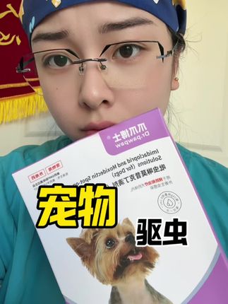 #养宠知识 #科学养宠 #宠物科普小讲堂 #狗狗成精了 #宠物成精啦 夏季每天都要出门遛遛的毛孩子,真的可以囤一些慢慢用!