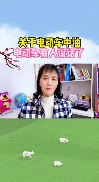 关于电动车中油电动车有人讲话了