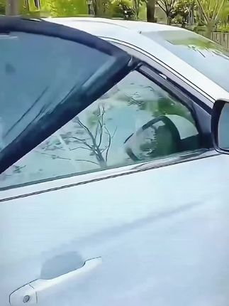 推荐这款#汽车防蚊纱窗推荐 防蚊虫,防晒隔热,不仅通风还透气#实用好物 #汽车遮阳帘 #防蚊纱窗 #汽车用品