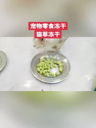 喵咪颜究社出品,猫草冻干,温和排毛营养美味解馋磨牙互动训练奖 #易博米修的日常#磨牙洁齿#排毛球 #排毛猫草 #排毛