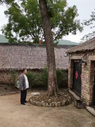 友友,你家是农村的吗?农村是个好地方,山清水秀空气好#农村生活 #农村老家