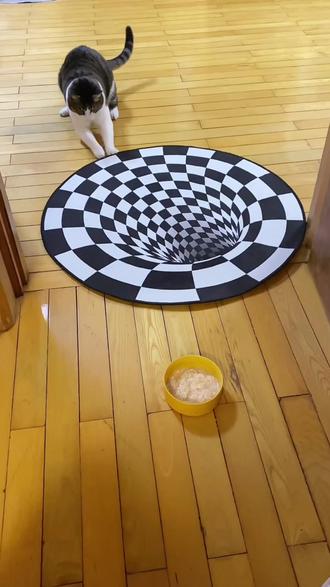 这下把我家猫和狗都搞眩晕了,哈哈哈 #在家爱宠日记 #猫咪的日常 #眩晕地毯 #宠物的迷惑行为#宠物