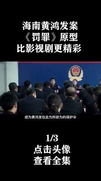 海南黄鸿发案:《罚罪》原型,现实远比影视剧更精彩 #除恶扫黑 #罚罪 #真实故事改编