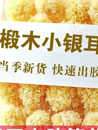 阿文推荐吉美味椴木小银耳软糯多胶古田农家干货椴木银耳糯耳莲子银耳羹#银耳 #银耳羹 #银耳汤 #莲子银耳羹 #莲子银耳