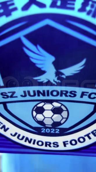 16岁袁博涵 升入深圳青年人一线队 跳级入选中国U17名单 即将出战#2026CFA中国之队银川国际青年足球锦标赛 #袁博涵 #深圳青年人 #中国U17