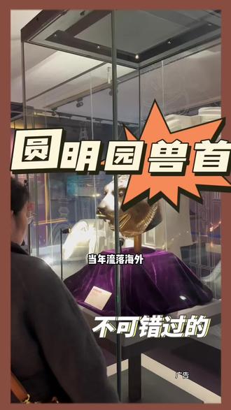 圆明园的十二生肖兽首,在我们隋唐大运河博物馆展出 #圆明园十二兽首 #大运河博物馆 #洛阳旅行攻略