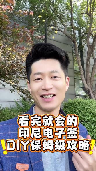 看完就会的印尼电子签DIY保姆级攻略#印尼签证 #印尼电子签 #印尼签证攻略 #签证