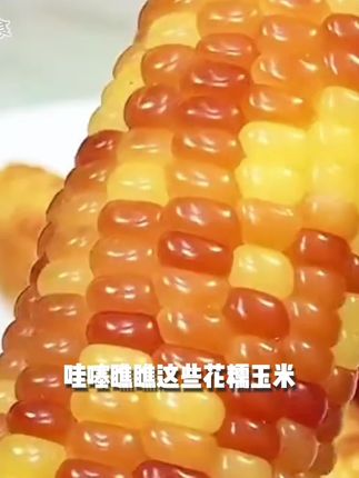 云南小花糯玉米才是真·宝藏美食!真空包装拆开就能蒸,入口又软又糯,还带着自然的甜香,完全不用额外加糖。不管是当早餐还是下午茶,全家都能吃得超满足,试过的都被惊艳到!#花糯玉米 #嘎嘎好吃 #快来一起尝个鲜 #玉米推荐 #早餐吃什么