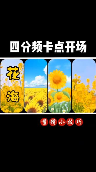 四分频卡点开场制作方法,带你看春天里百花齐放的花海,#剪辑#剪辑教程 #治愈系风景 #花海 #真实生活分享计划