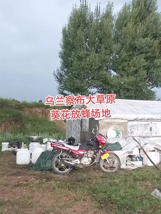 又是舒服的一天