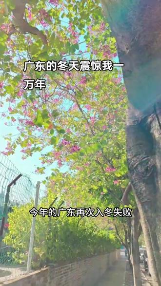 今年的广东再次入冬失败!#广州 #入冬失败 #雪景 #郴州 #同程旅行