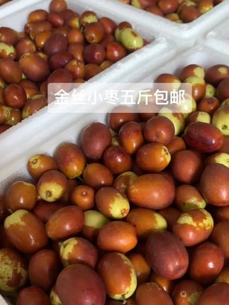 金丝小枣现摘现发